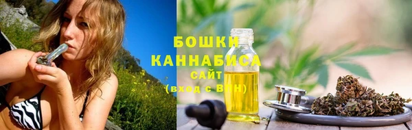 амф Богородск