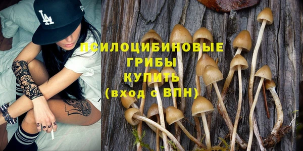 кокс Бородино