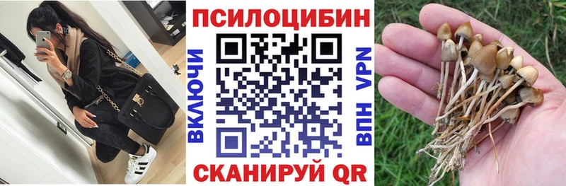 Псилоцибиновые грибы Psilocybe  Королёв 